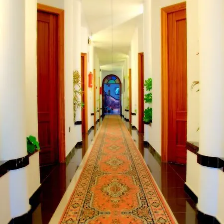 Hotel Palmero 2*