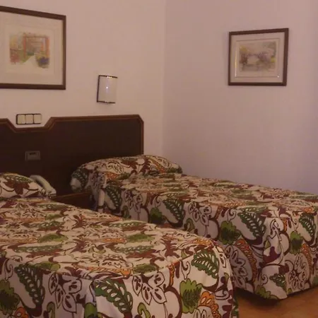 Palmero 2*