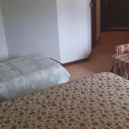 Palmero 2*