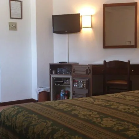 Hotel Palmero