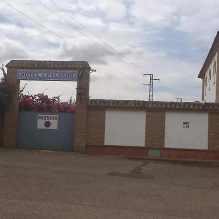 Palmero