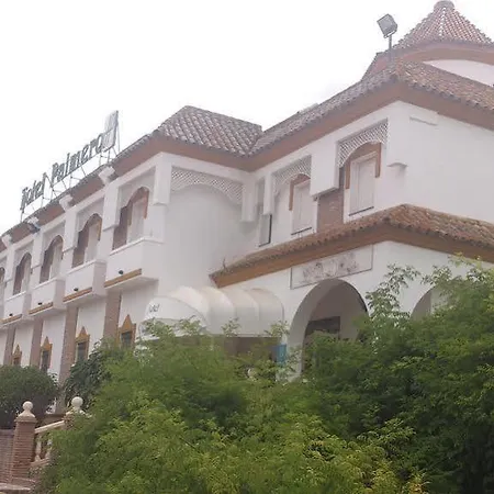 Palmero 2*